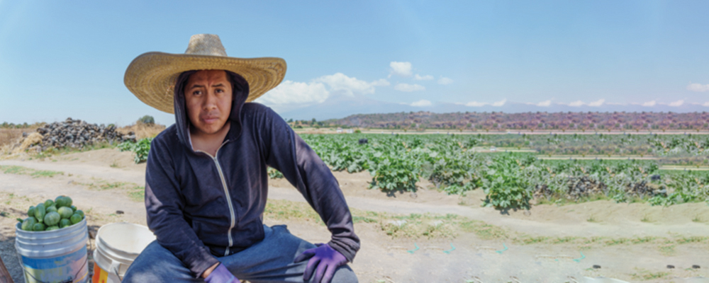 Portrait of Farmworker